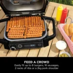 گریل باربیکیو نینجا مدل - Ninja Woodfire Grill Quick Start OG701 - تصویر 14