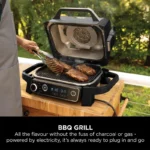 گریل باربیکیو نینجا مدل - Ninja Woodfire Grill Quick Start OG701 - تصویر 7